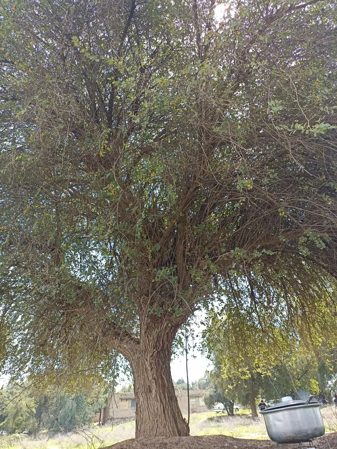 چاردیواری، انباری ، کارگاه، سوله
