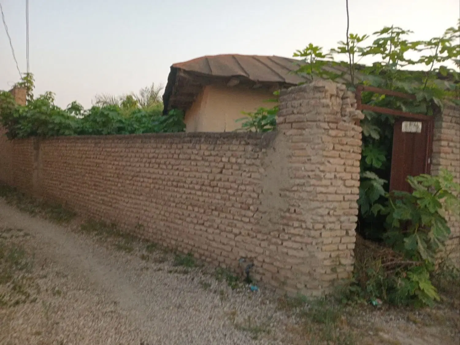 زمین کلنگی مازندران سیاوش‌کلا فوری