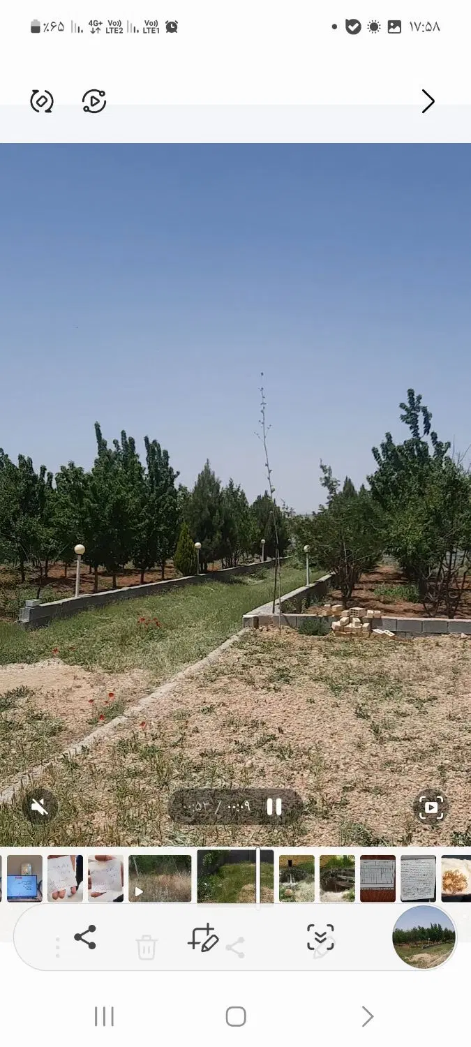 باغ