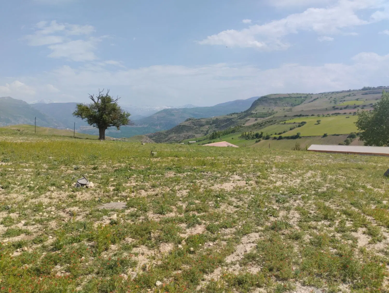 فروش زمین مسکونی