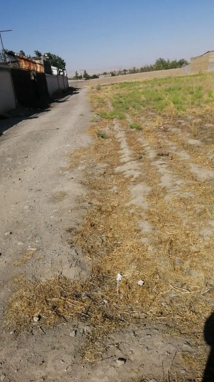 زمین ۵۰۰ متری شاهنامه ۷۶روستای سیدعلی