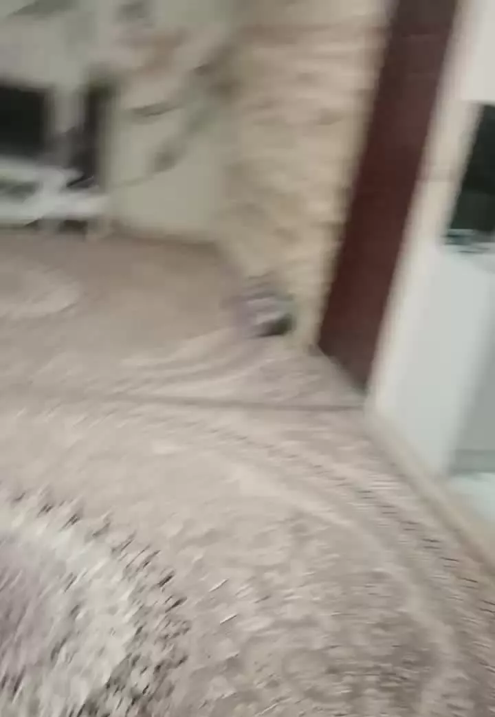 فروشی به مساحت ۶۸ متر با امکانات کامل  طبقه۴