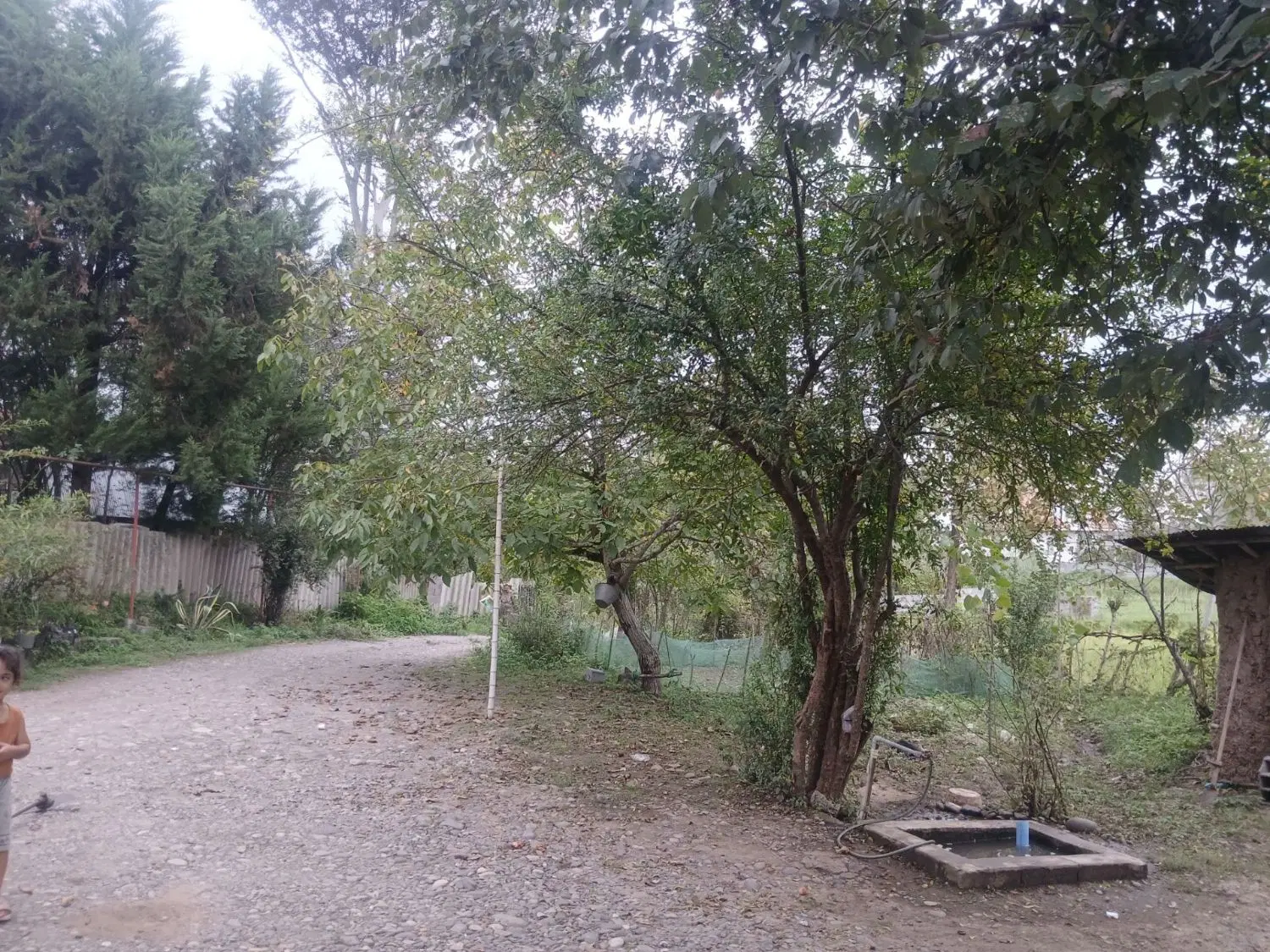 فروش ملک ویلایی رشت