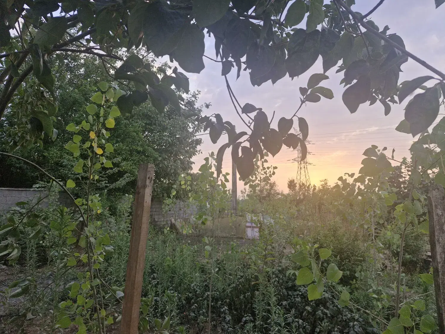 زمین مسکونی