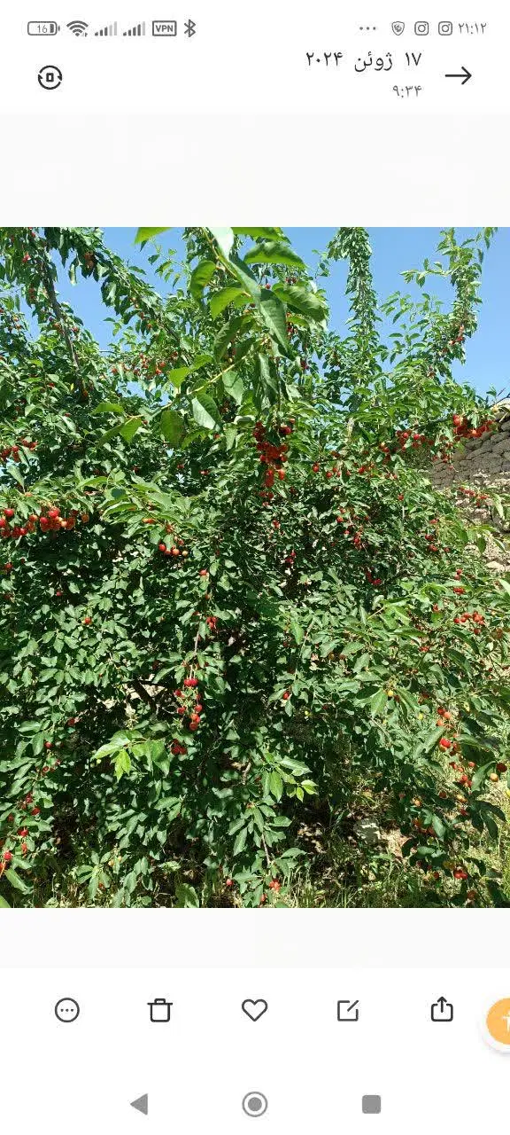 ویلای فروشی دستجرد علیا