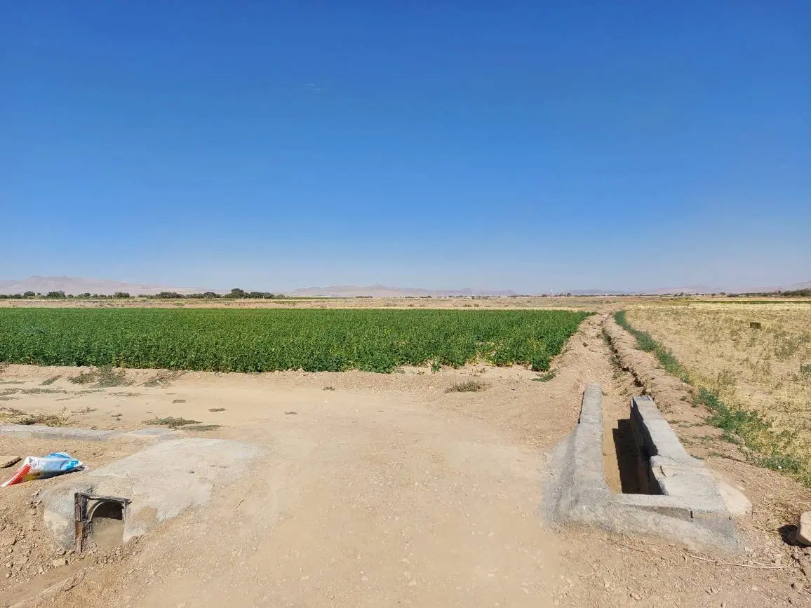 زمین کشاورزی روستای رشیدآباد