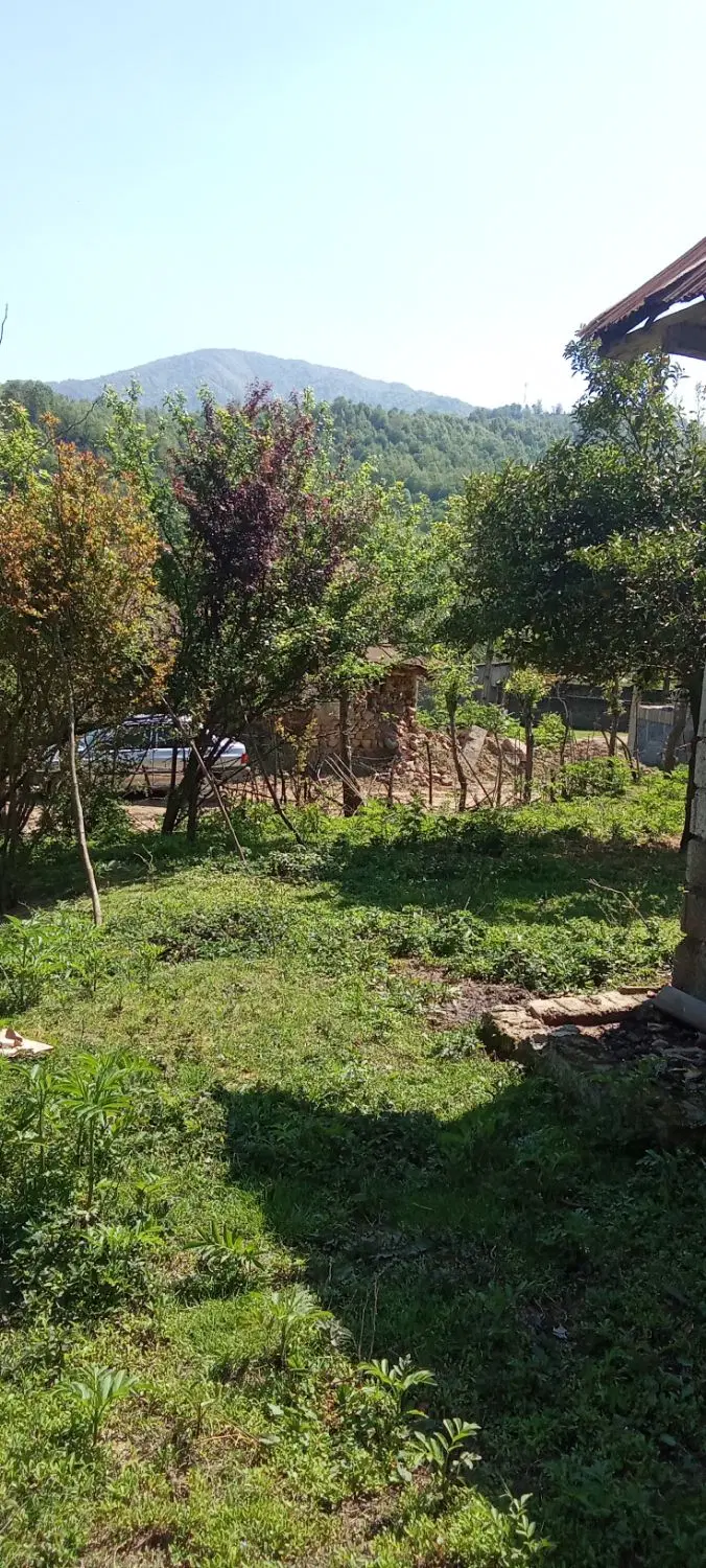 زمین مسکونی جنگلی دوبر