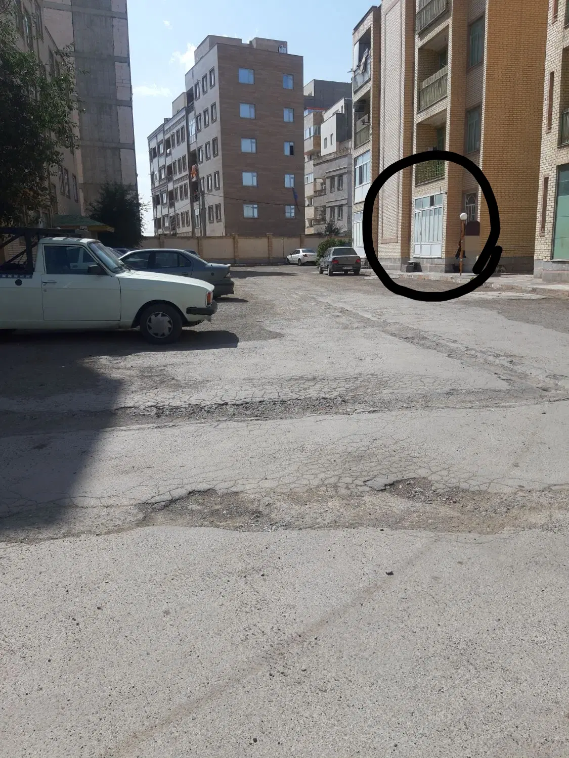 دامپزشکی عرفان ۲ مناسب زوج جوان و سالمندان عزیز