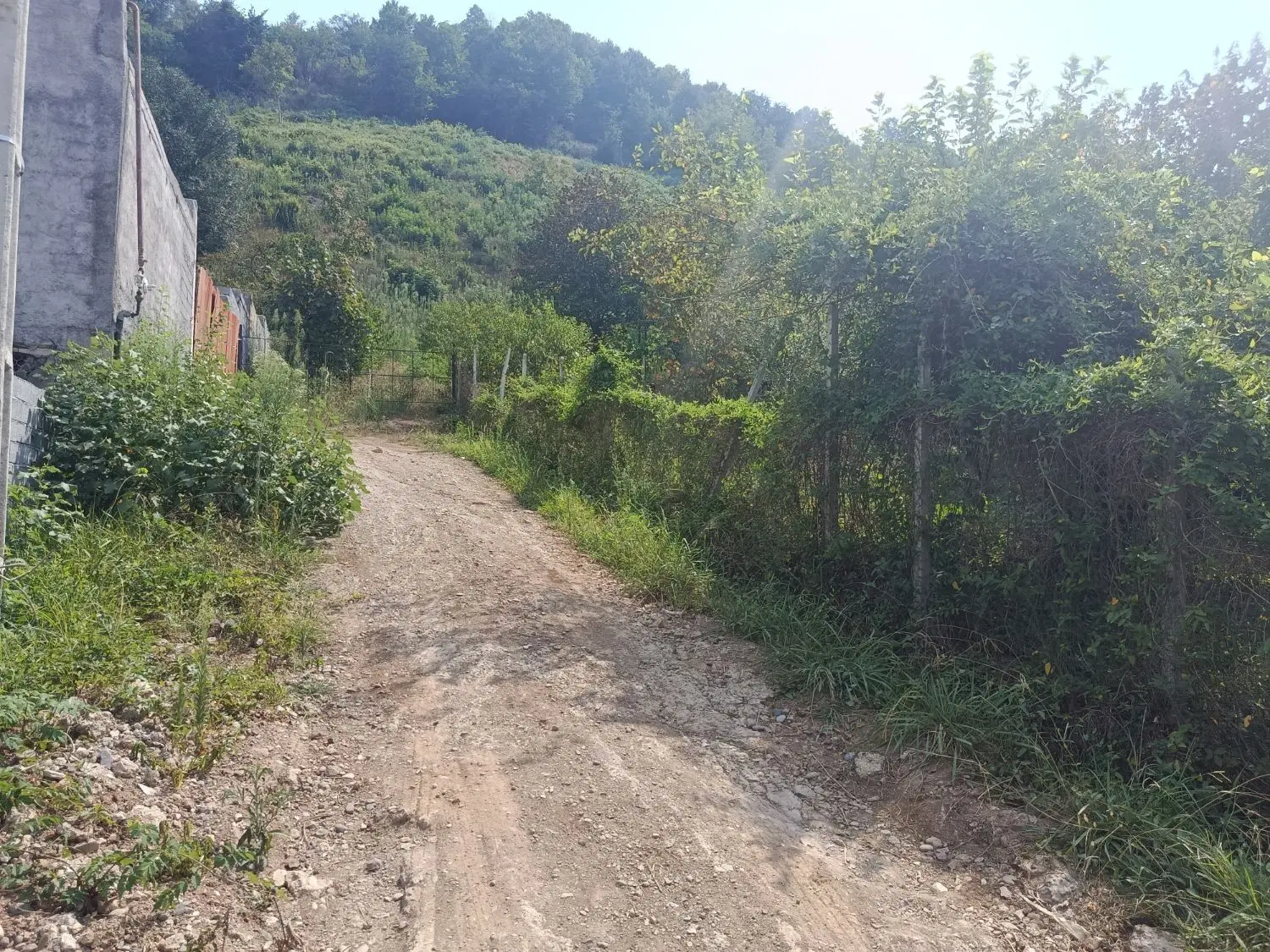 ۳۹۷ متر زمین مسکونی با بر ۲۰ متری در دره جیر