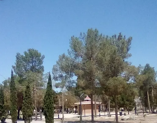 فروش یا معاوضه زمین