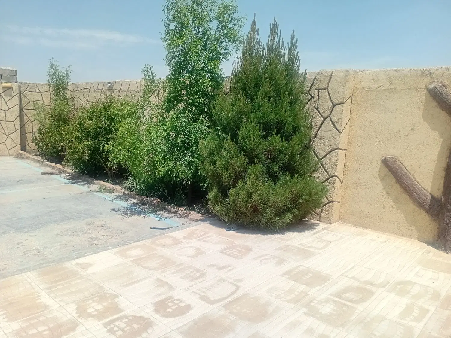 فروش باغ