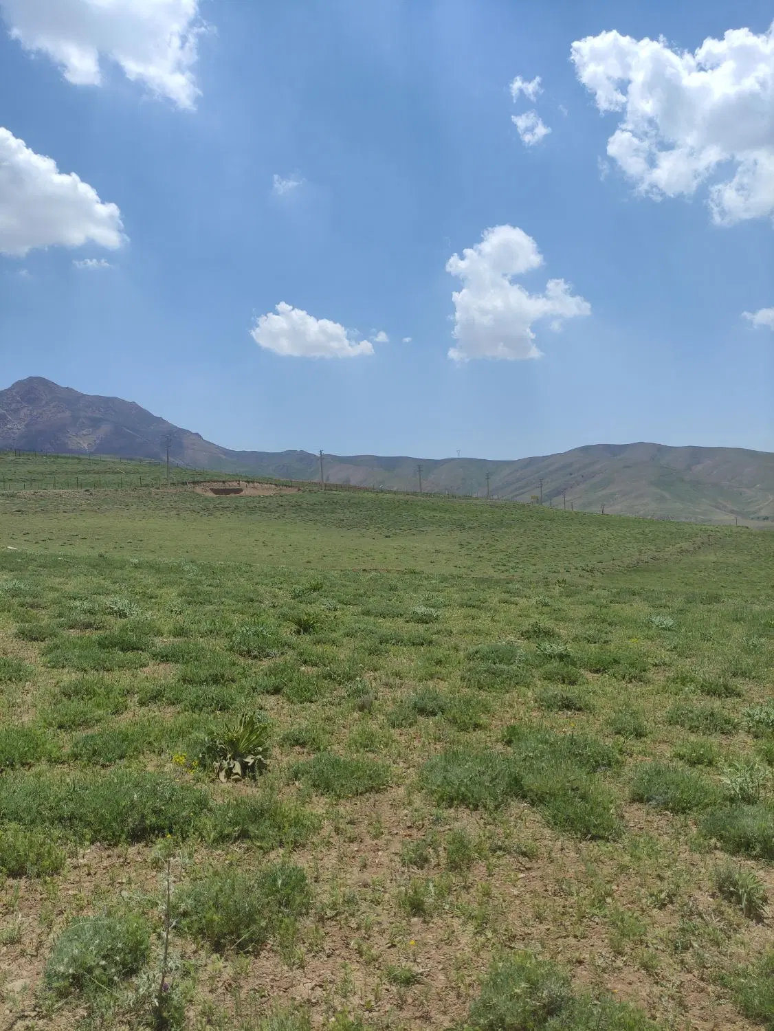 وزارت کشور طالقان