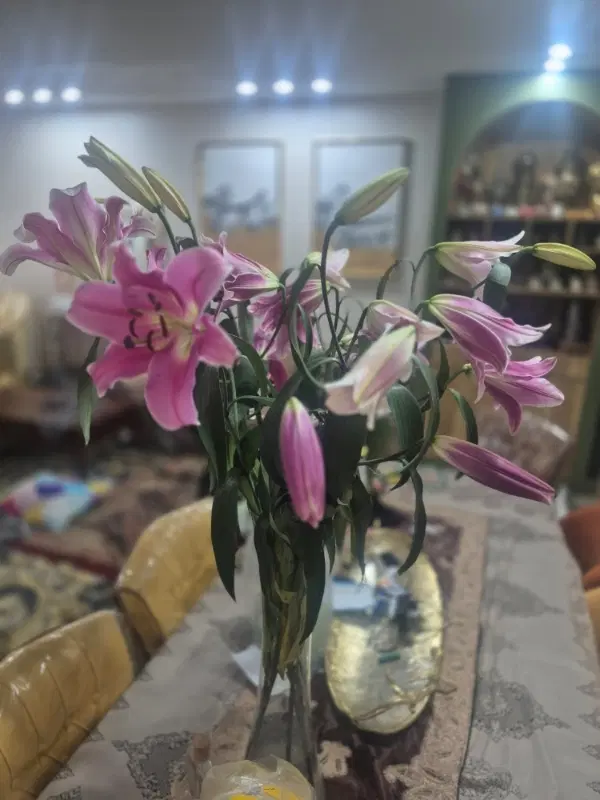 خانه ویلایی ۲۲۰ متری منازل لوله سازی_فول بازسازی