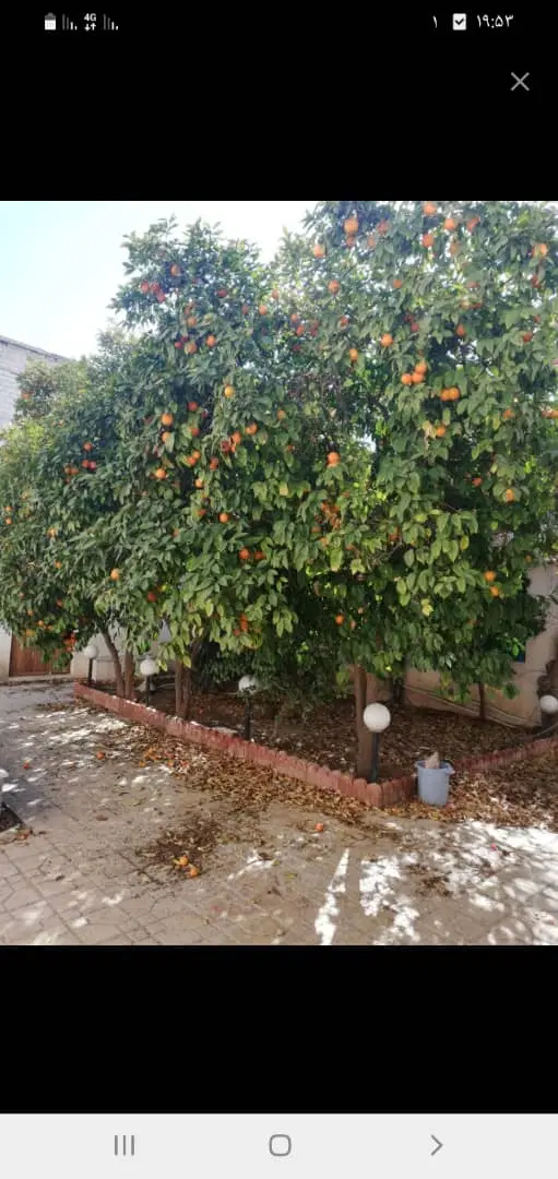 اجاره خوابگاه