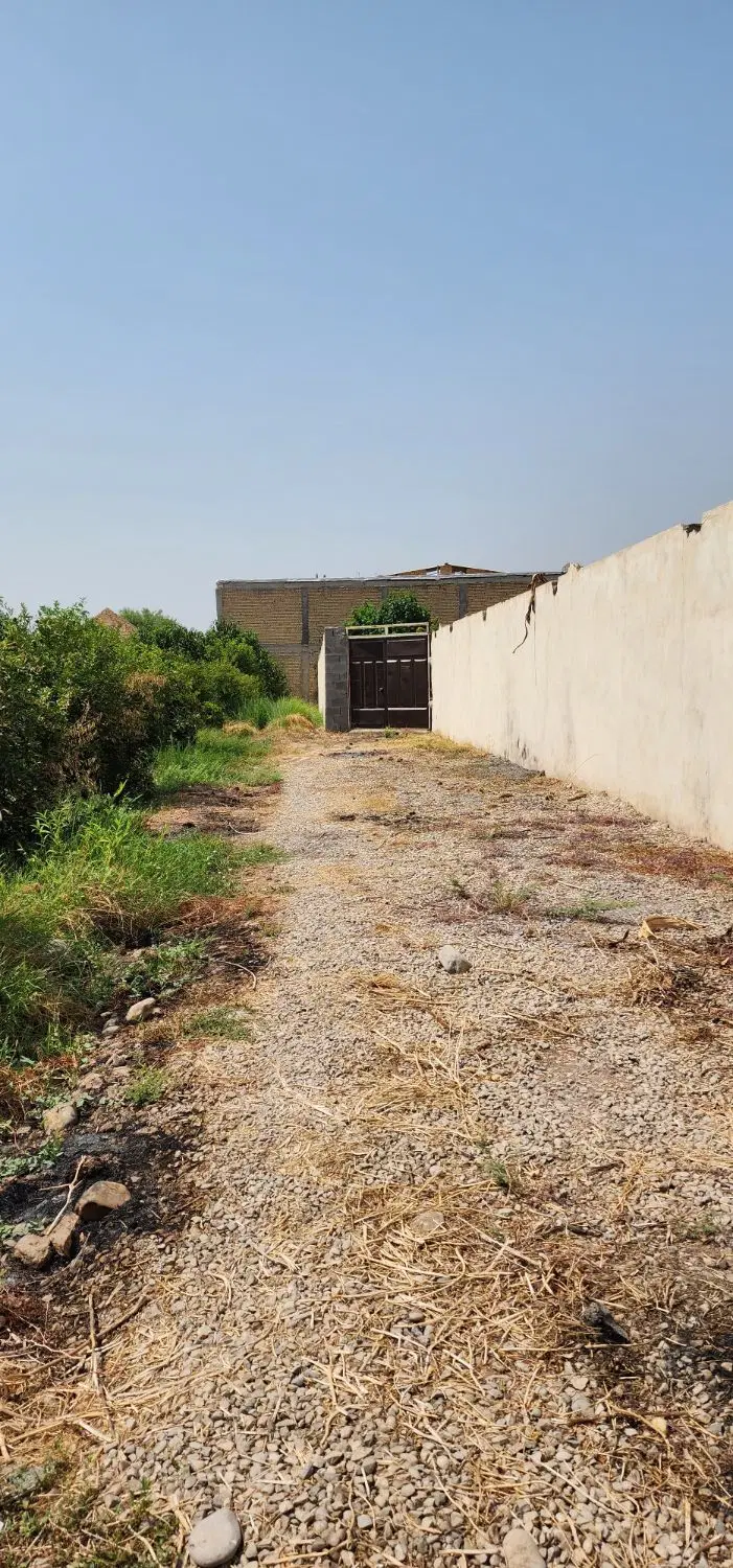 فروش باغچه