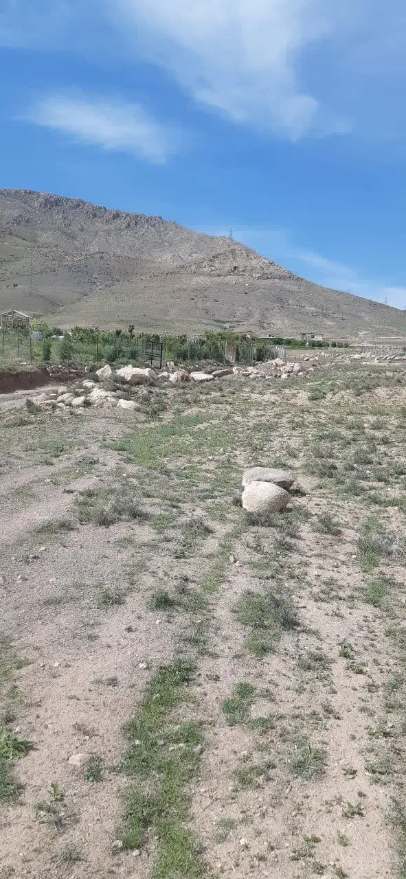 رزشمالی رزجرد ویوی ابدی