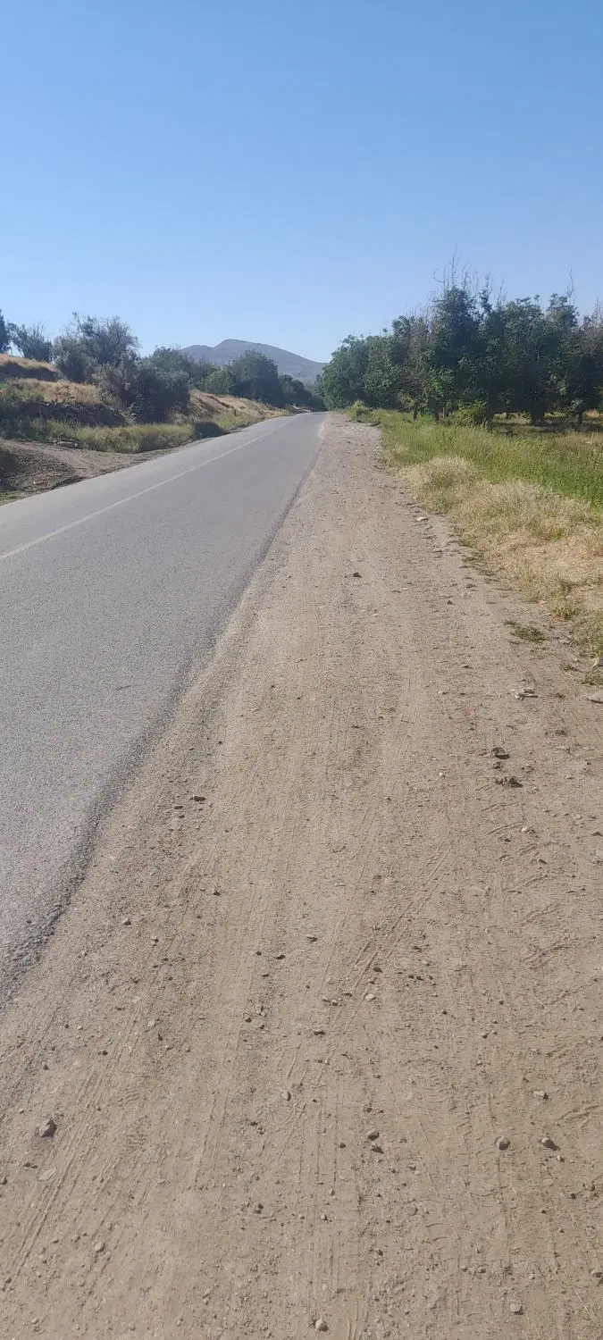 زمین باغی روستای ارزانفود