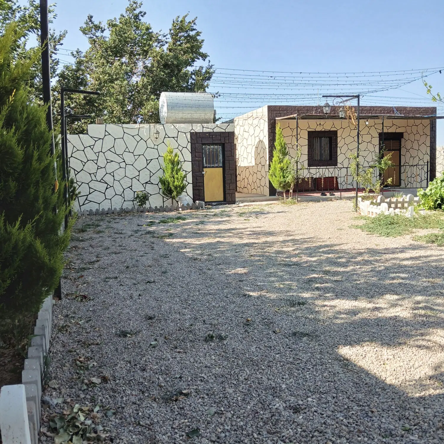 باغ انگور تاکستان