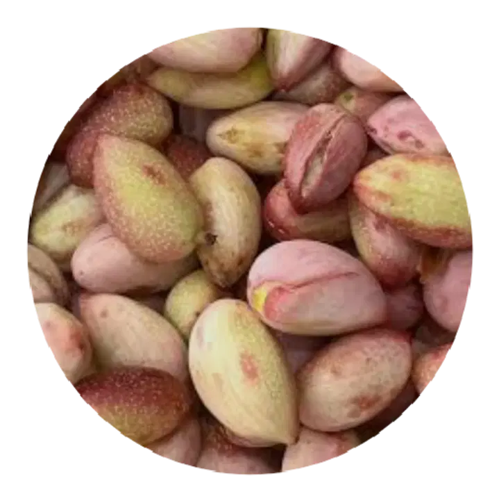 باغ پسته ده ساله حاصلخیز