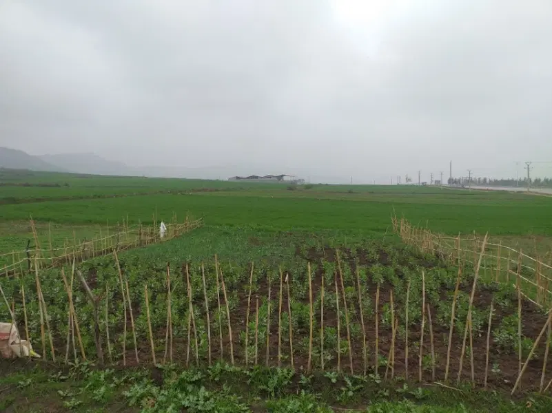 فروش زمین