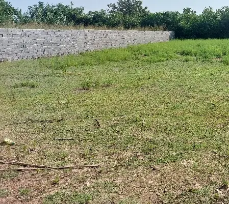 ۱۱۸متر زمین مسکونی کفشگرکلا
