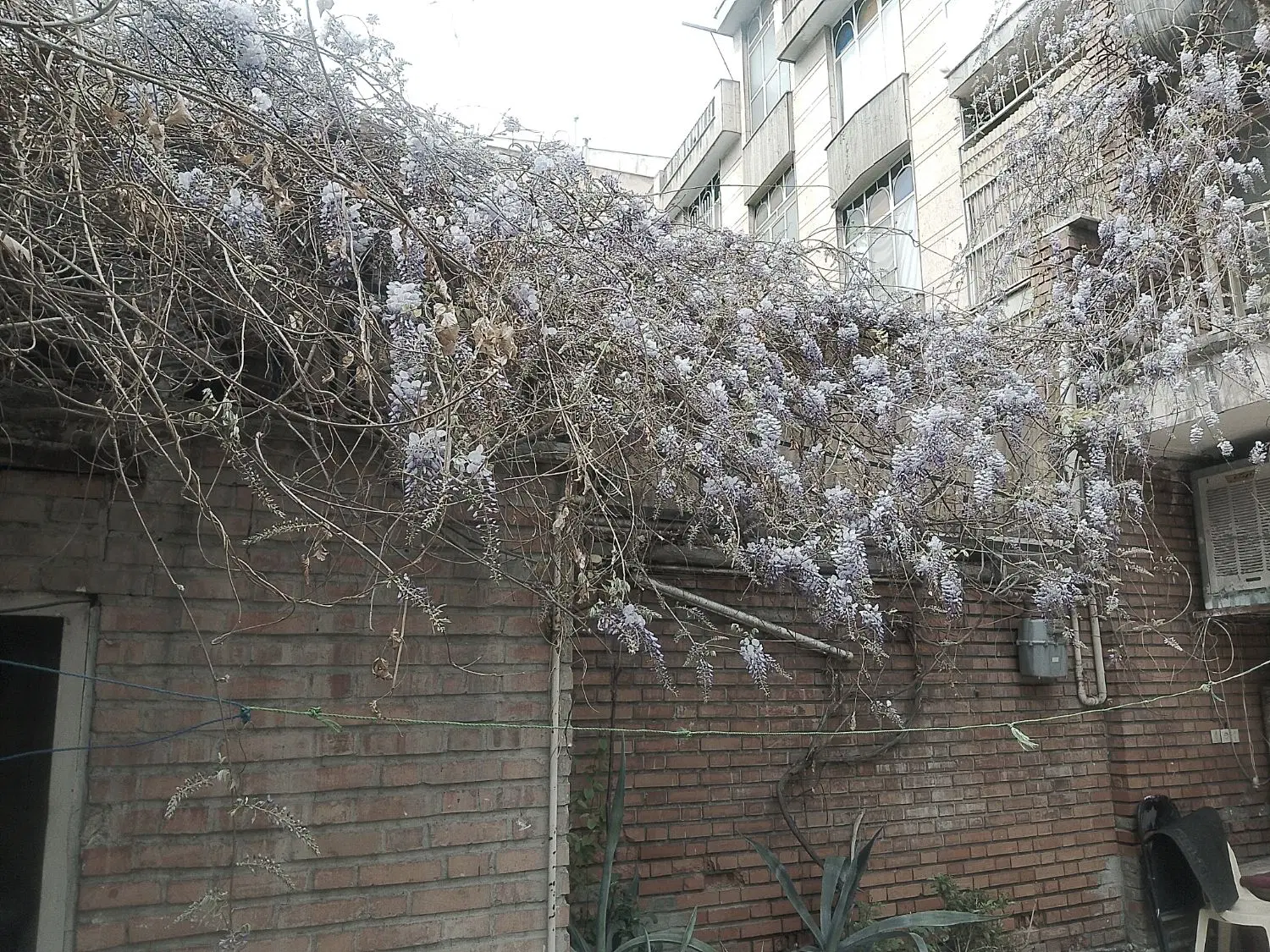احاره صدمترطبقه دوم