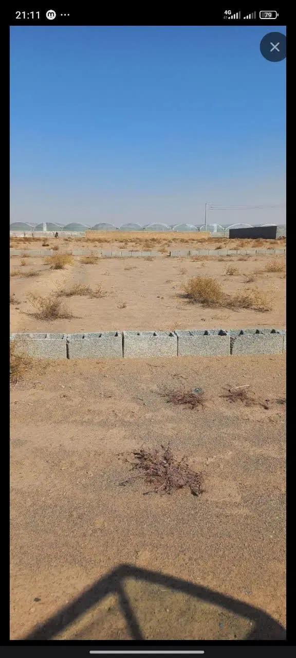 زمین واقع در دهنو