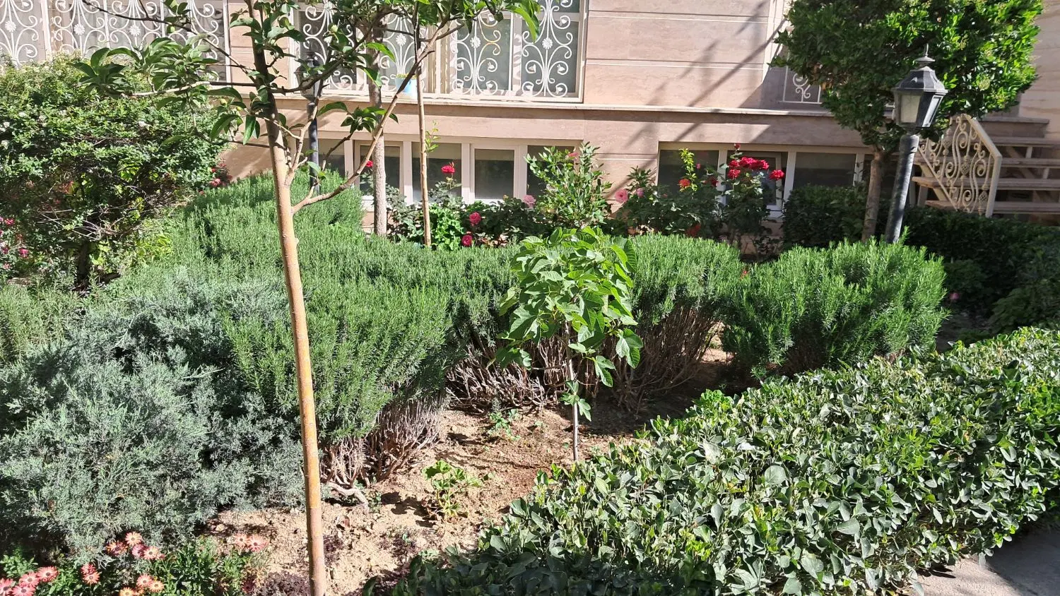 فروش یامشارکت