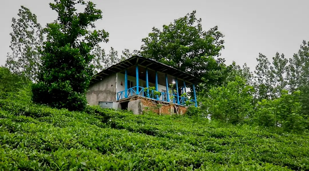خونه وباغ ویلایی در بالای آبشار وزن بن
