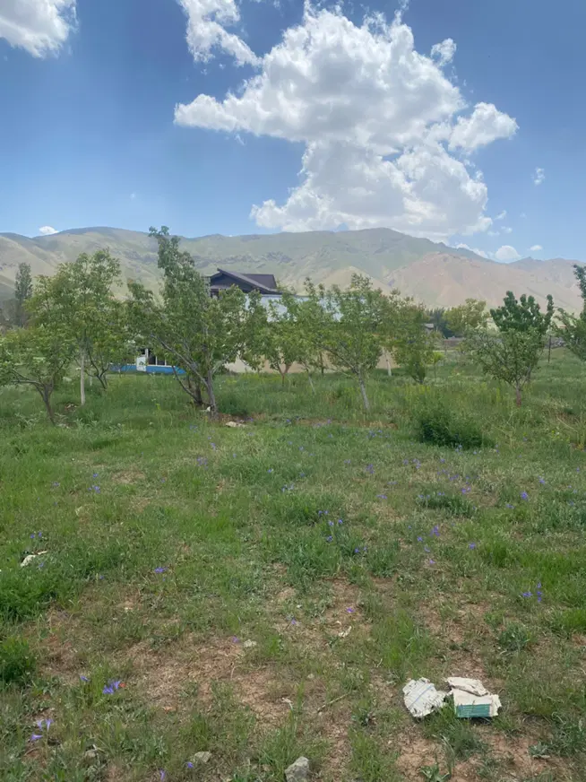 دماوند دشت مشا ۸۰۰متر زمین مشاء