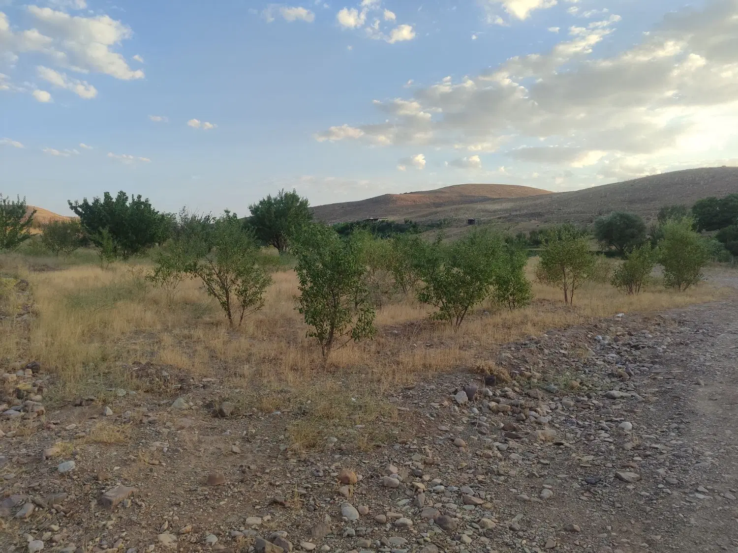 معاوضه باخودرویازمین