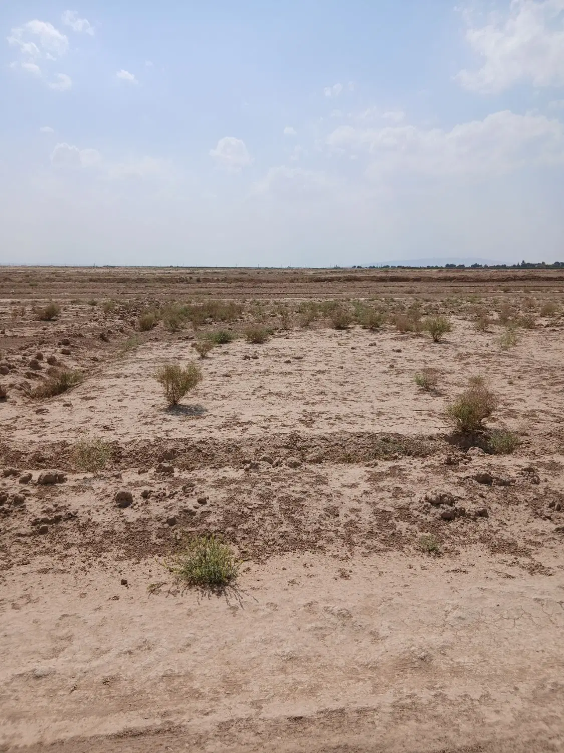 زمین ۵۰۰ متری