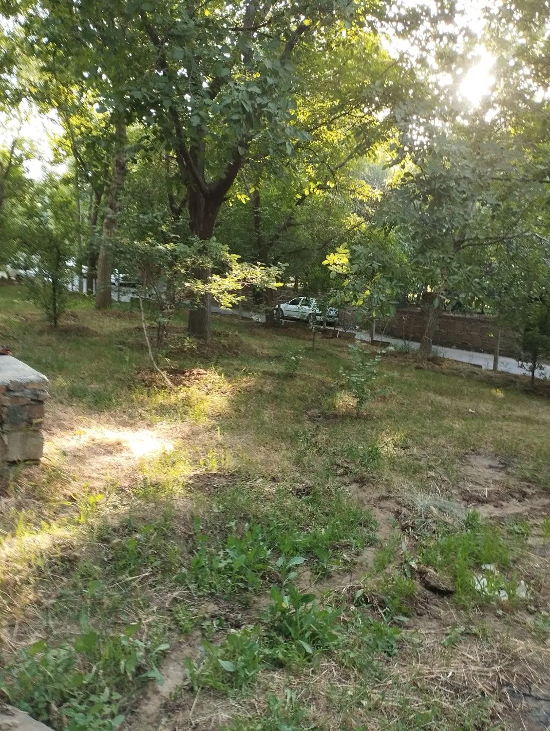 باغ بحر جاده آسفالت