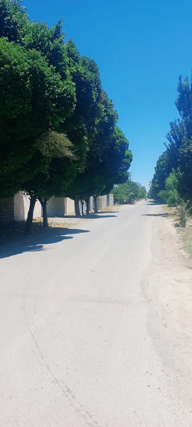 کردان جنوبی تهراندشت
