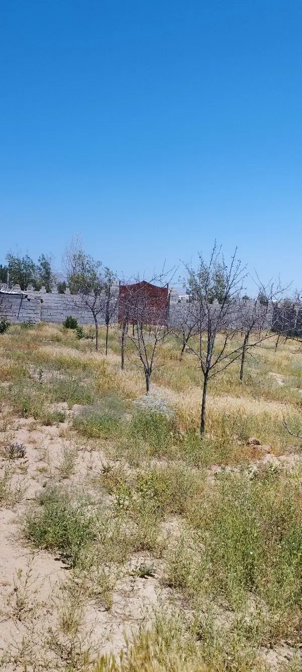 زمین باغ ویلا