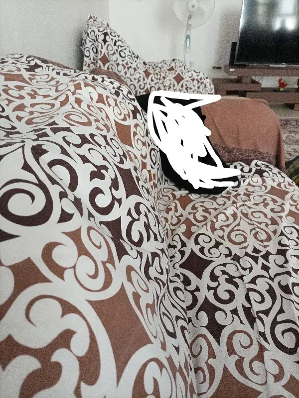 همخانه