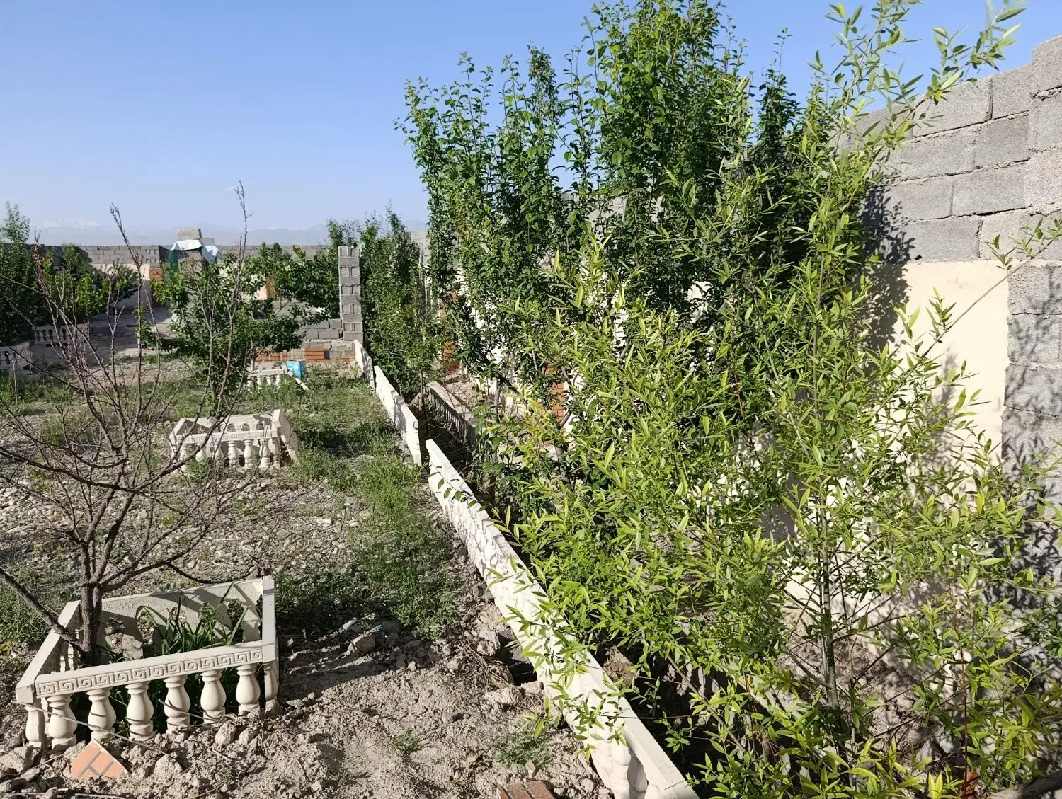 باغچه چهار دیواری قابل تهاتر