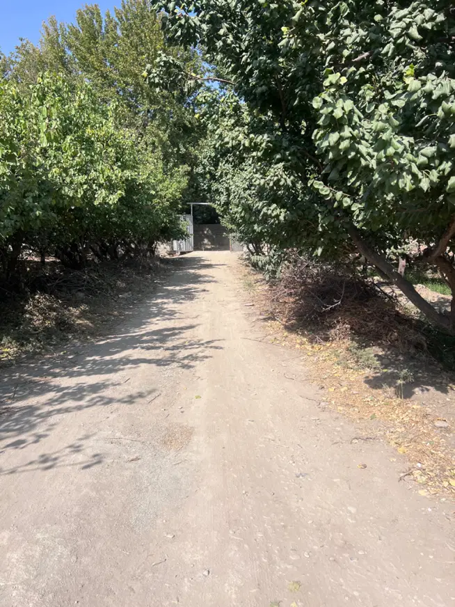 باغچه ۴۷۰ متری خوشنام