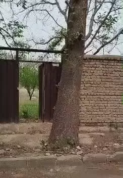 فروش ۱۲۵۵ متر باغ چهاردیواری سهیلیه چاه آب فعال