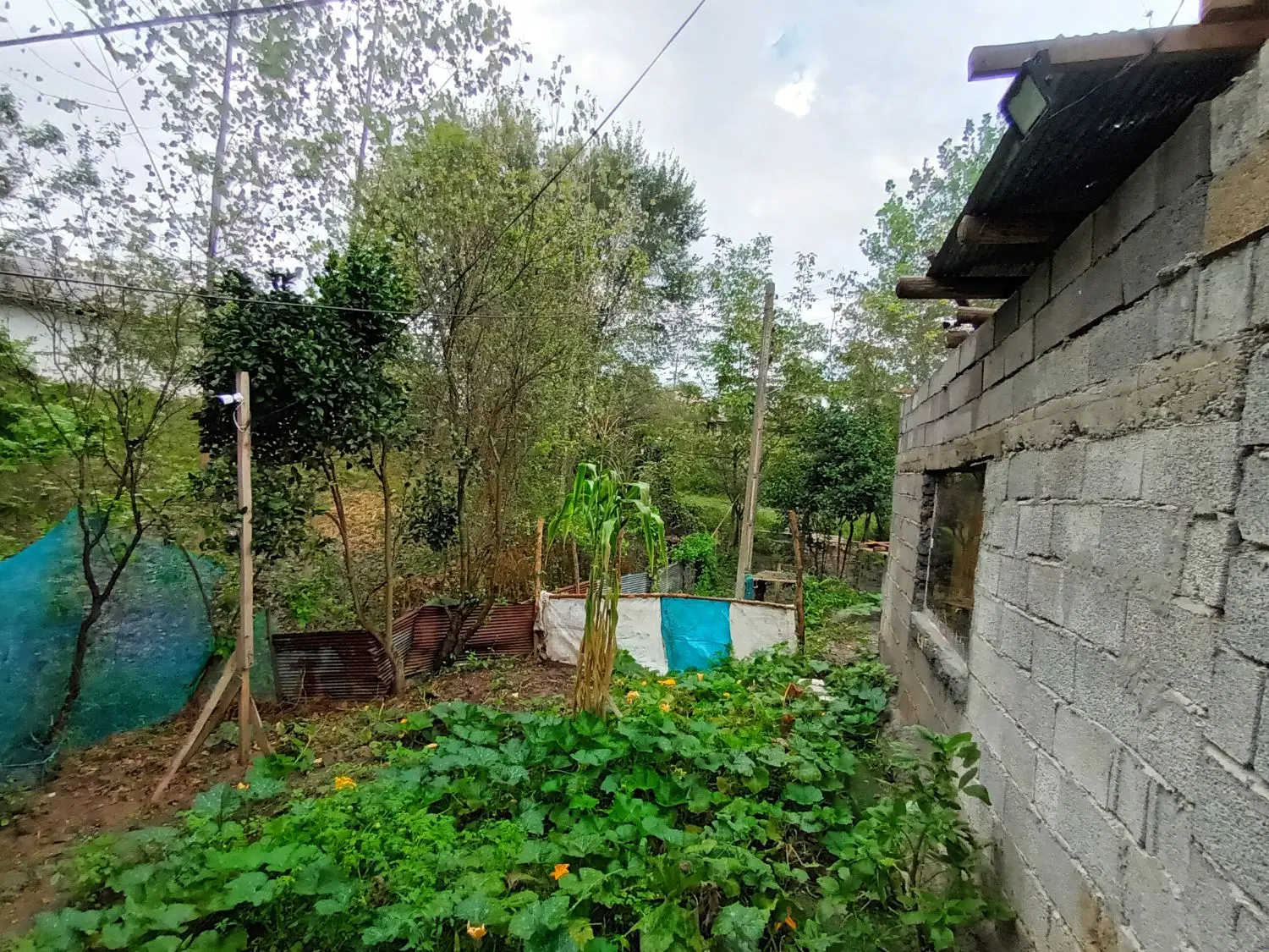 ۳۰۰ متر زمین مسکونی