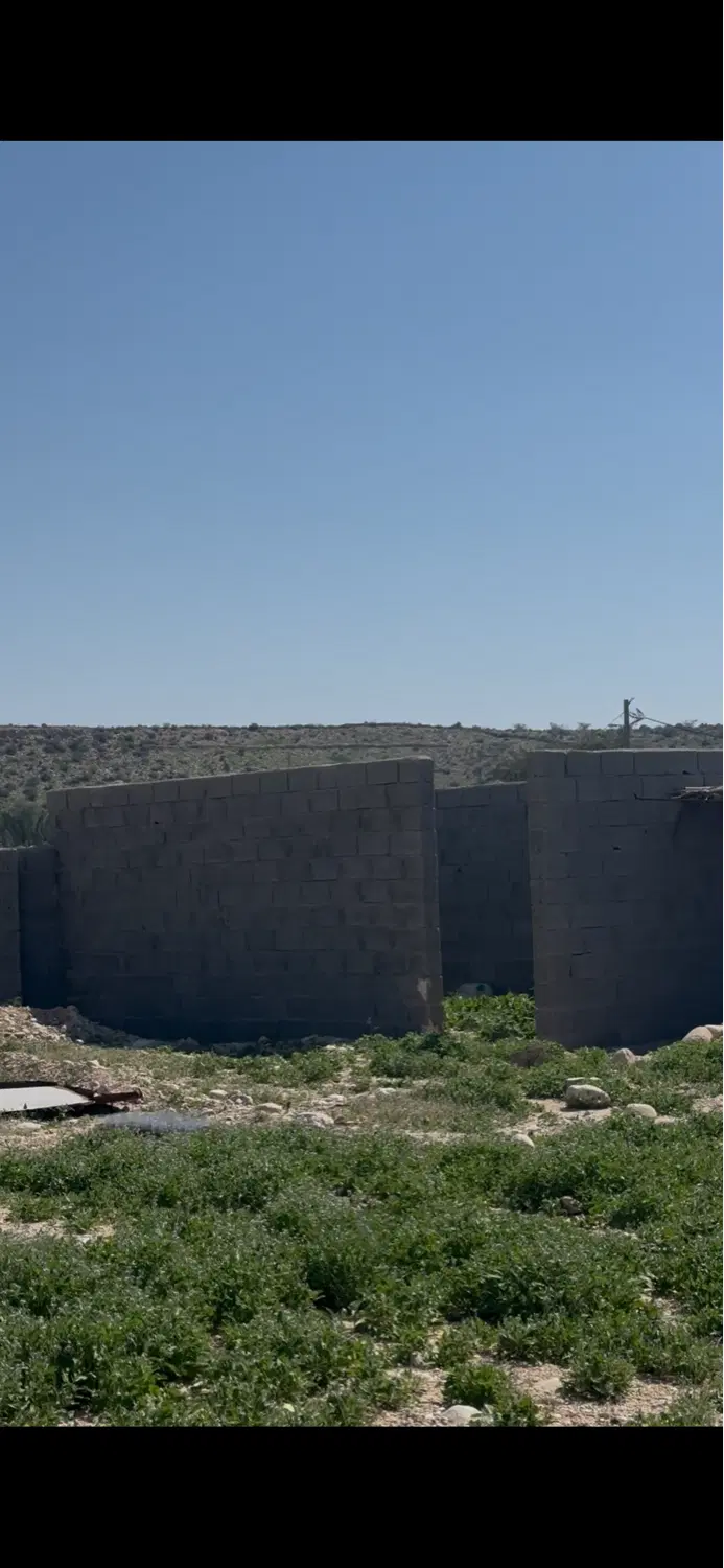 زمین آینده دار