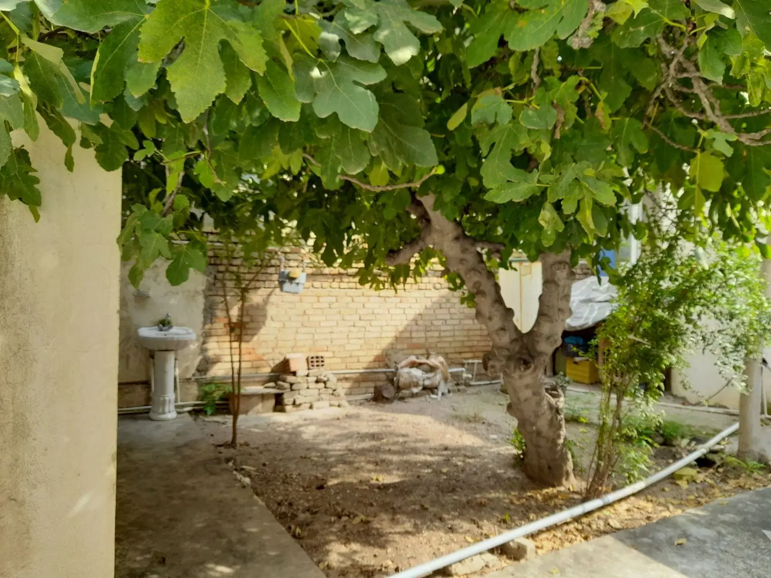 اجاره ویلایی