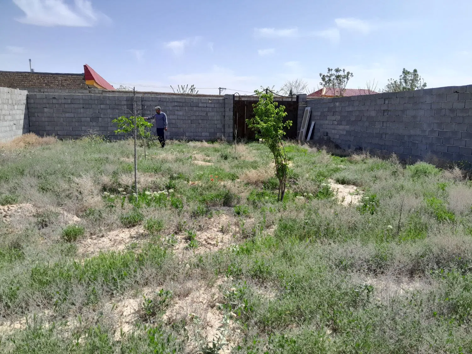 زمین باغی 325 روستای برزش آباد