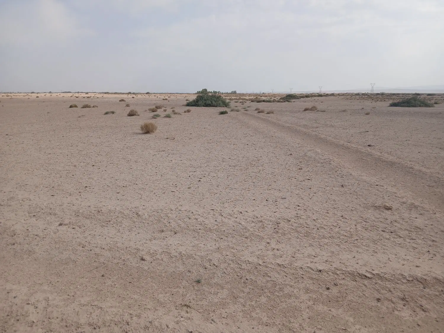زمین ۱۱هکتاری