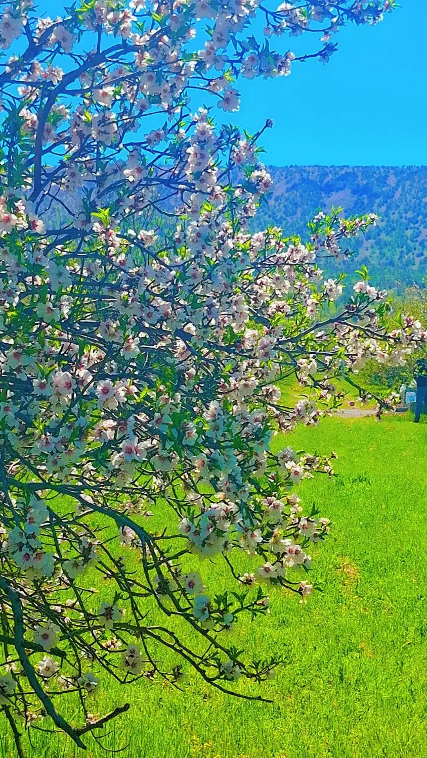 فروش خانه باغ در تنگ حمام