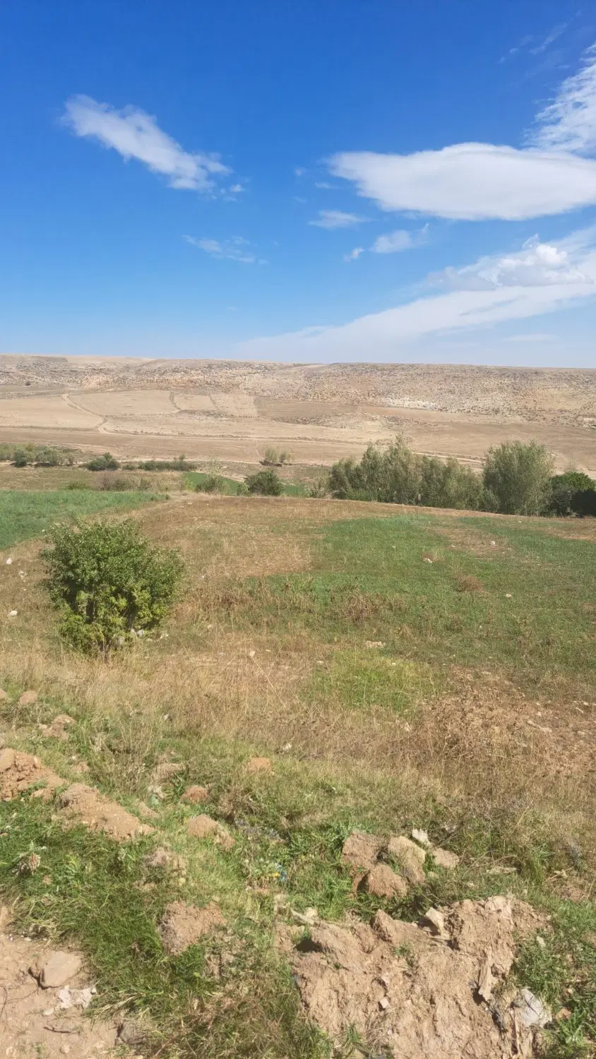 زمین کشاورزی