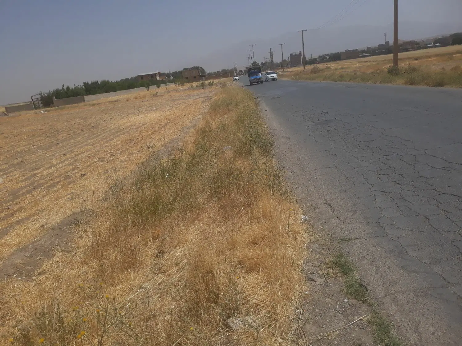 زمین کشاورزی ۵۲۵۶ متر مربع