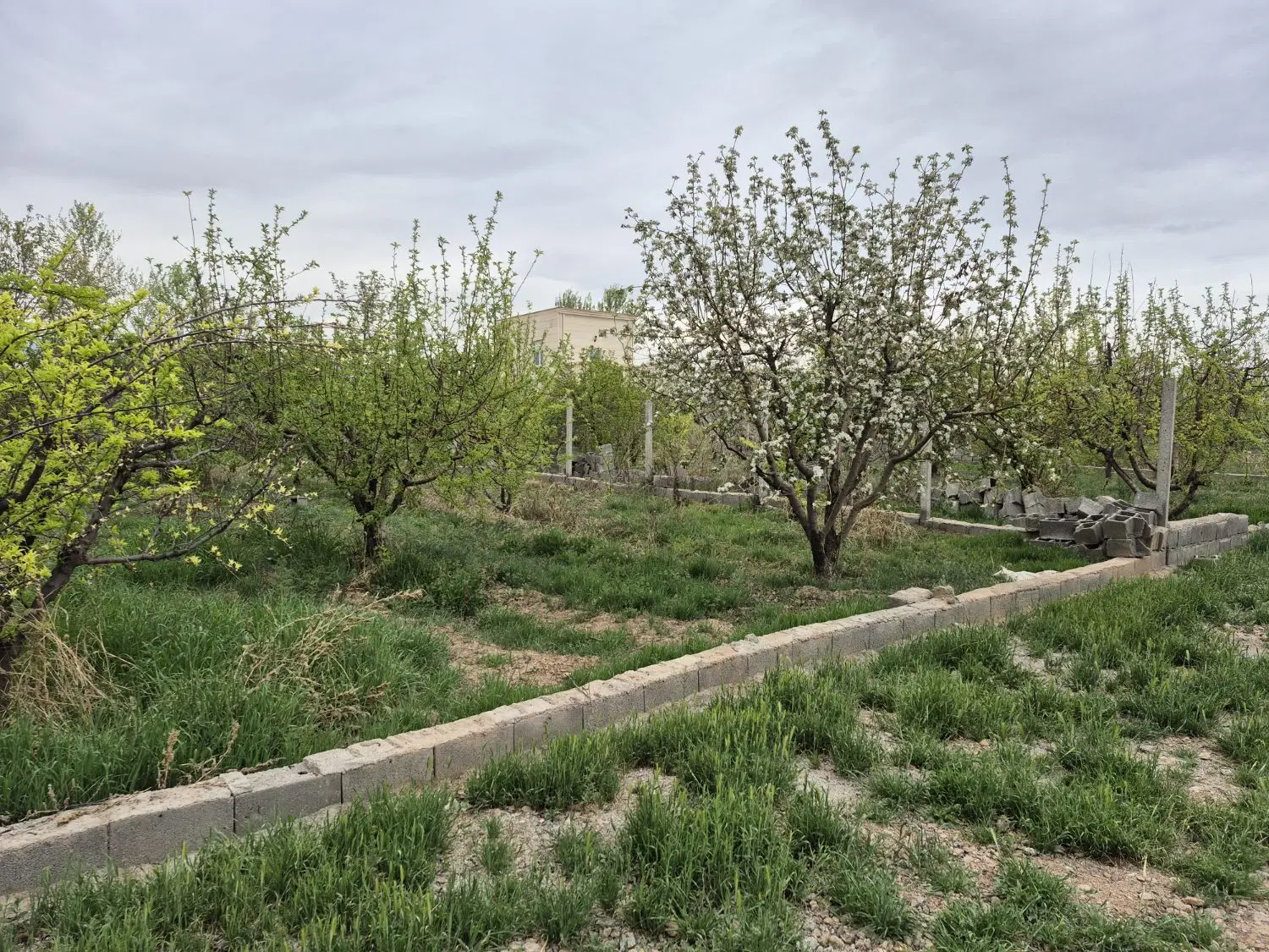 فروش یک قطعه زمین به مساحت  حدودا۶۰۰ متر