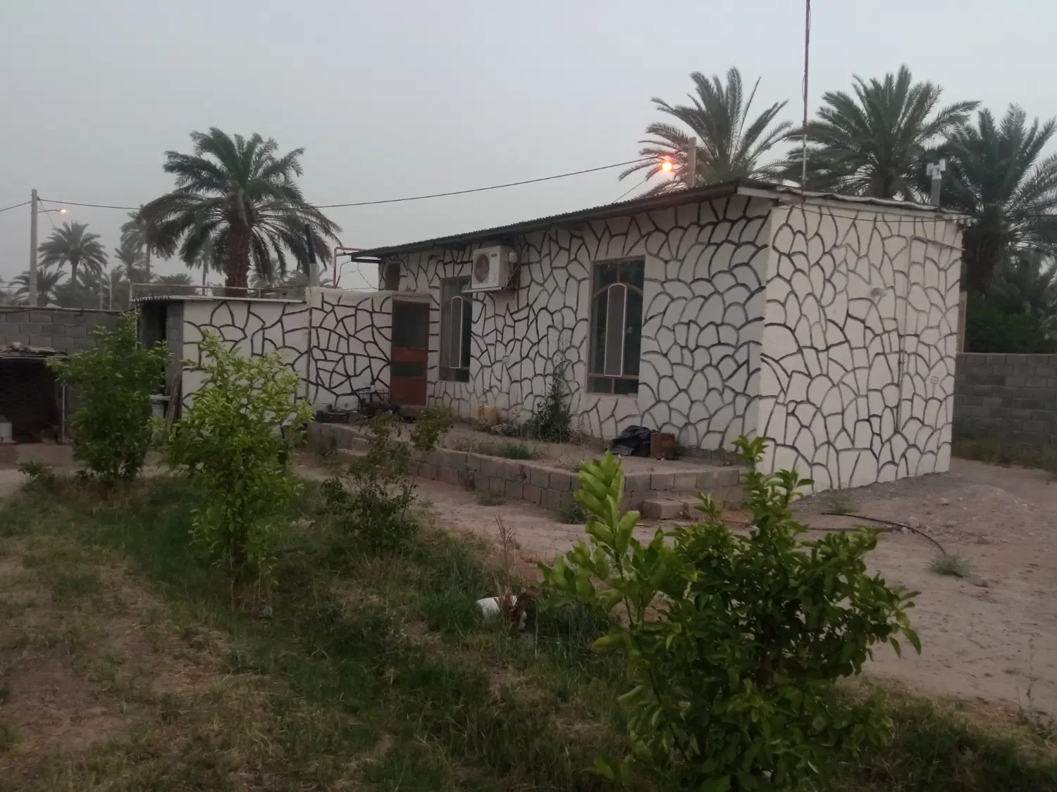 گلخانه صیفی جات