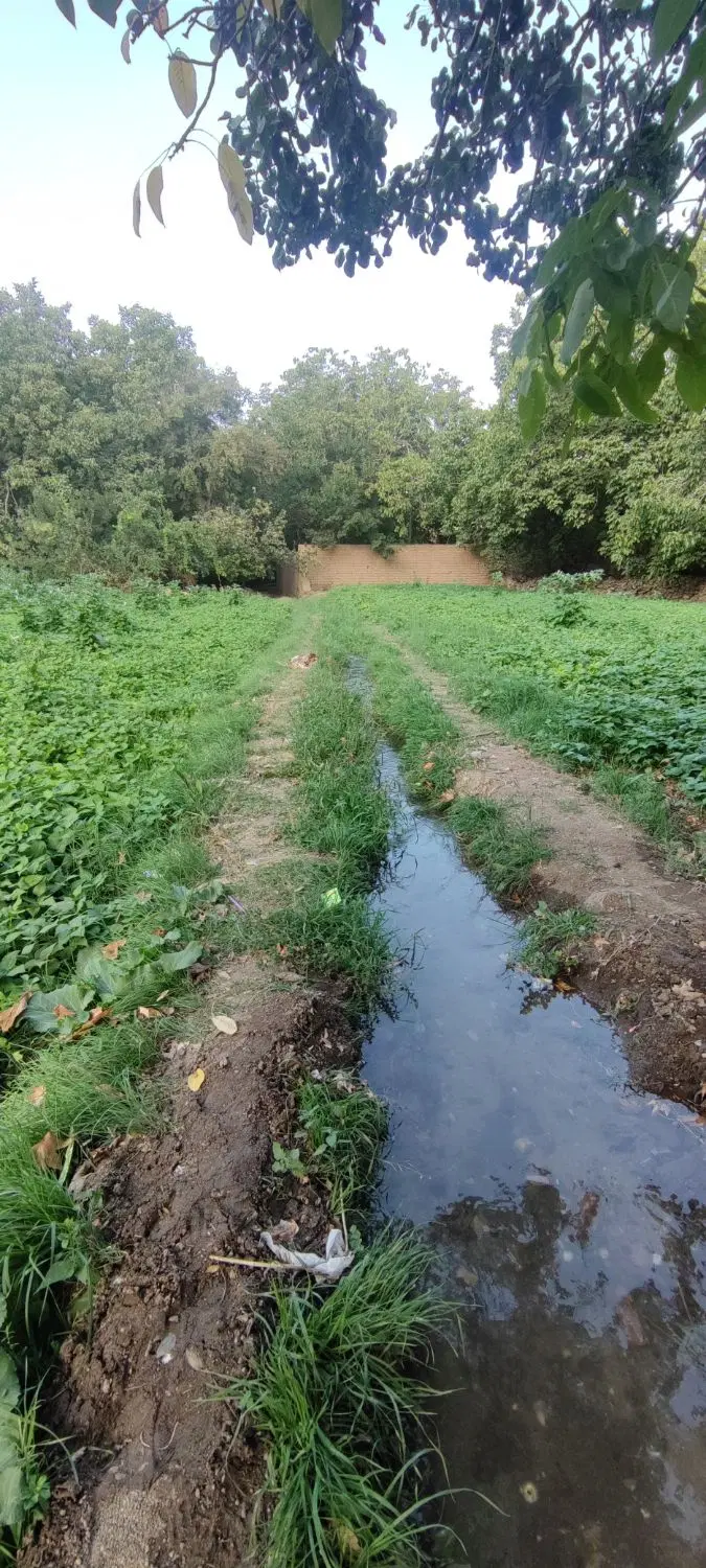 زمین 400متری